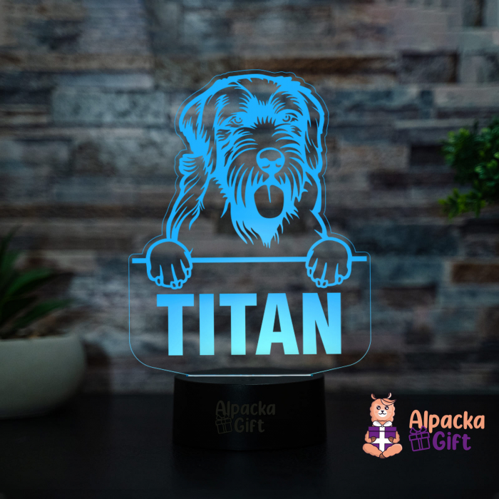 Lampă 3D - Wirehaired Pointing Griffon [2]