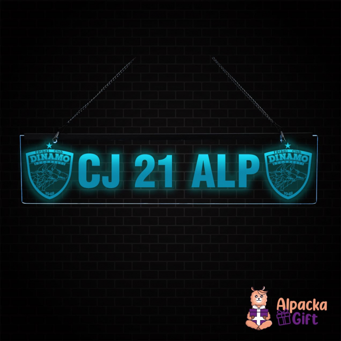 Placheta LED - Dinamo + Nr. Inmatriculare [3]