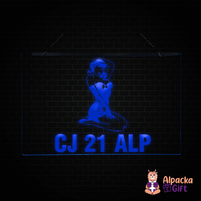 Placheta LED - Silueta2 + Nr Inmatriculare [4]