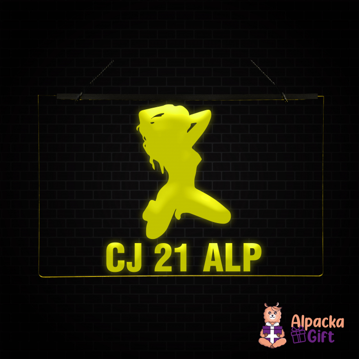 Placheta LED - Silueta4 + Nr Inmatrriculare [2]