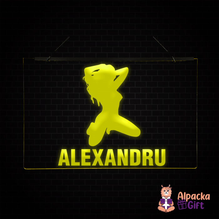 Placheta LED - Silueta4 + Nume [2]