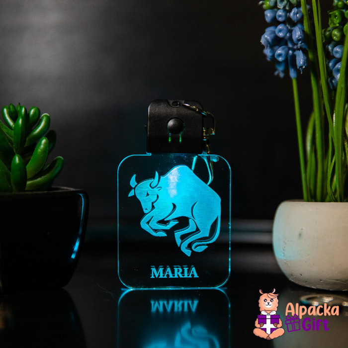 Set 2 Brelocuri LED [14]