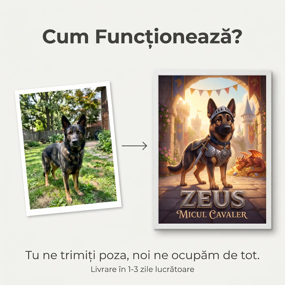 Tablou Personalizat Caine Cavaler - cadou pet personalizat [5]