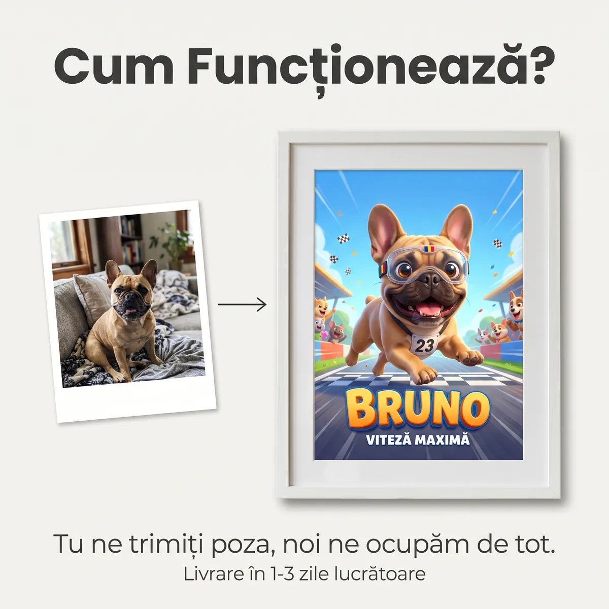 Tablou Personalizat Caine Pilot - cadou pet personalizat [5]