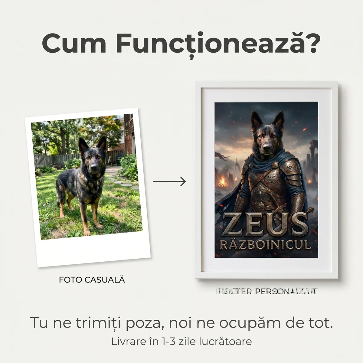 Tablou Personalizat Caine Razboinic Battlefield - cadou pet personalizat [5]
