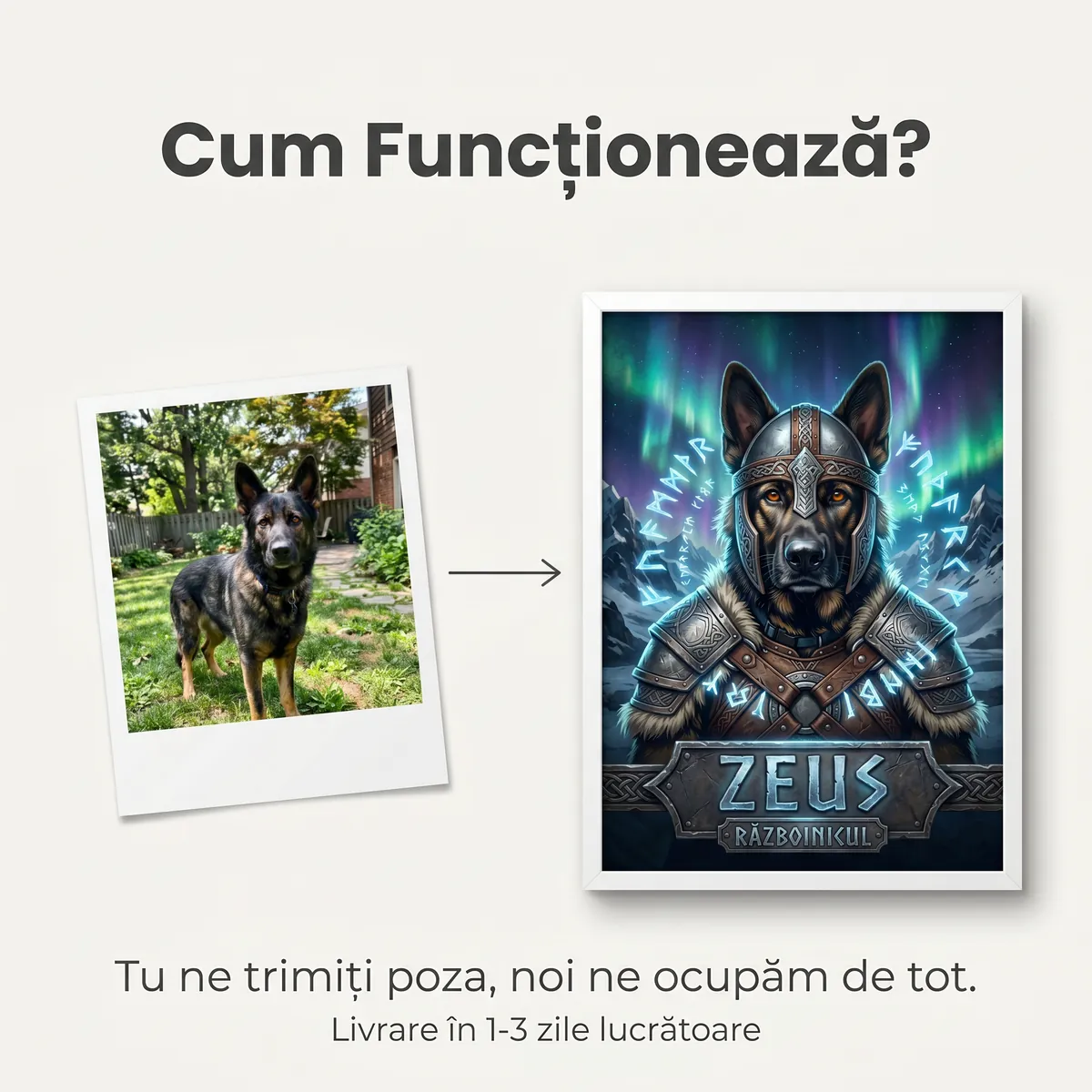 Tablou Personalizat Caine Razboinic Viking - cadou pet personalizat [5]
