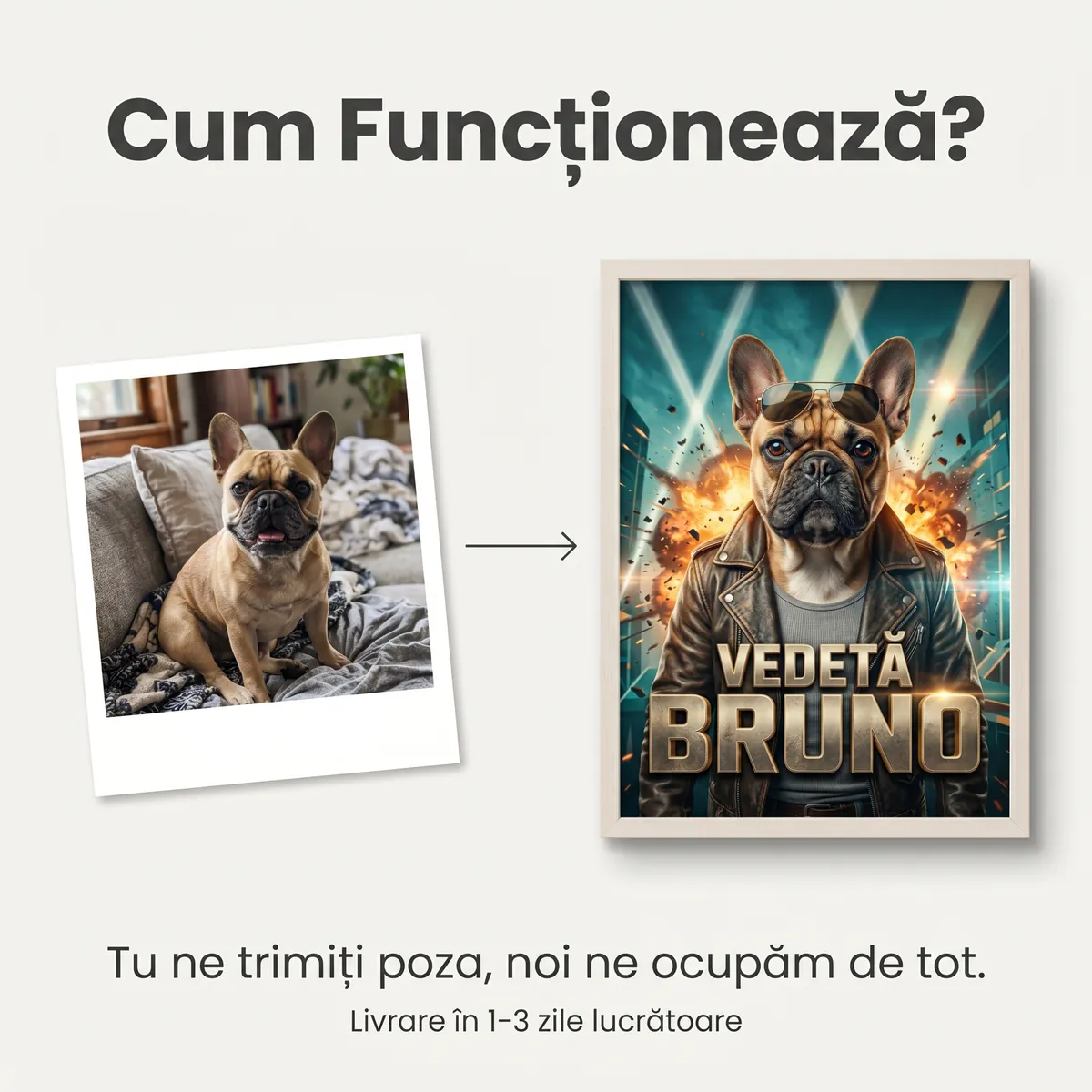 Tablou Personalizat Caine Star de Film - cadou pet personalizat [5]