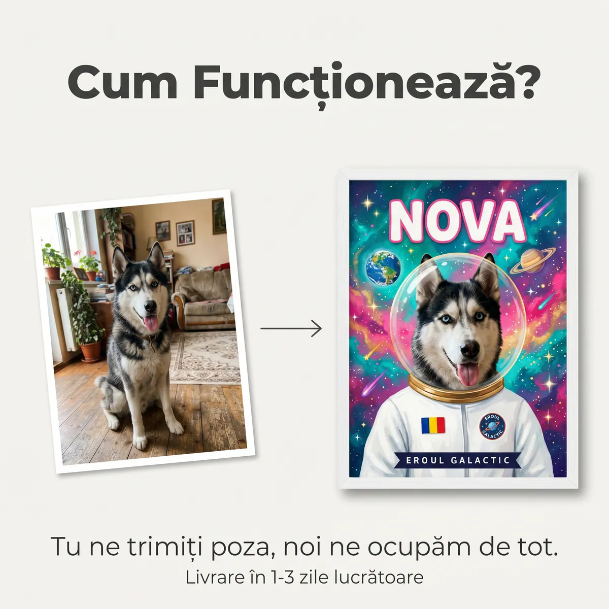 Tablou Personalizat Catel Astronaut - cadou pet personalizat [5]