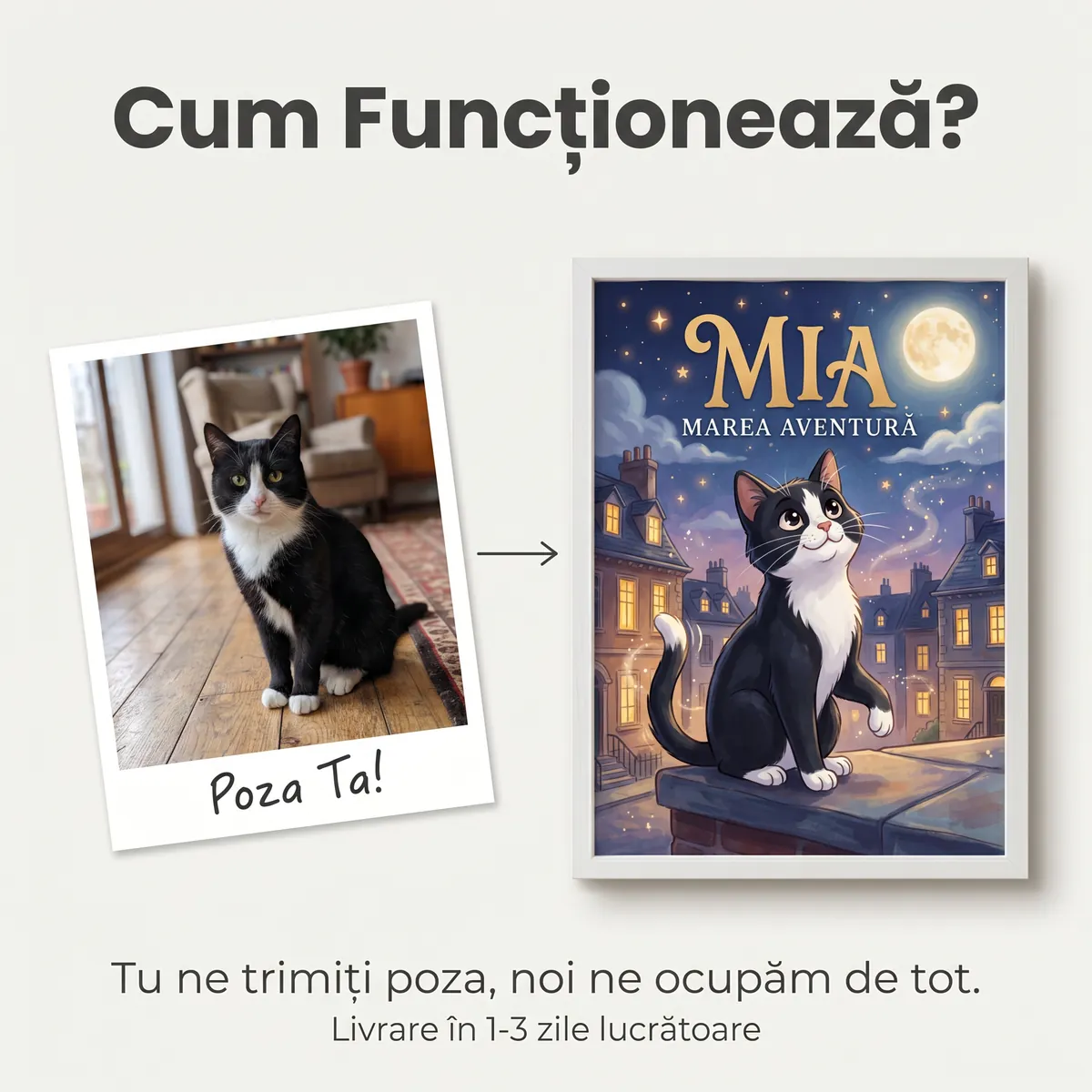 Tablou Personalizat Pisica Cartoon - cadou pet personalizat [5]