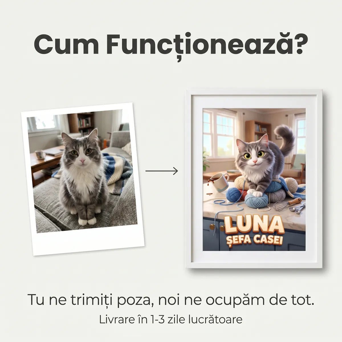 Tablou Personalizat Pisica Comedie - cadou pet personalizat [5]