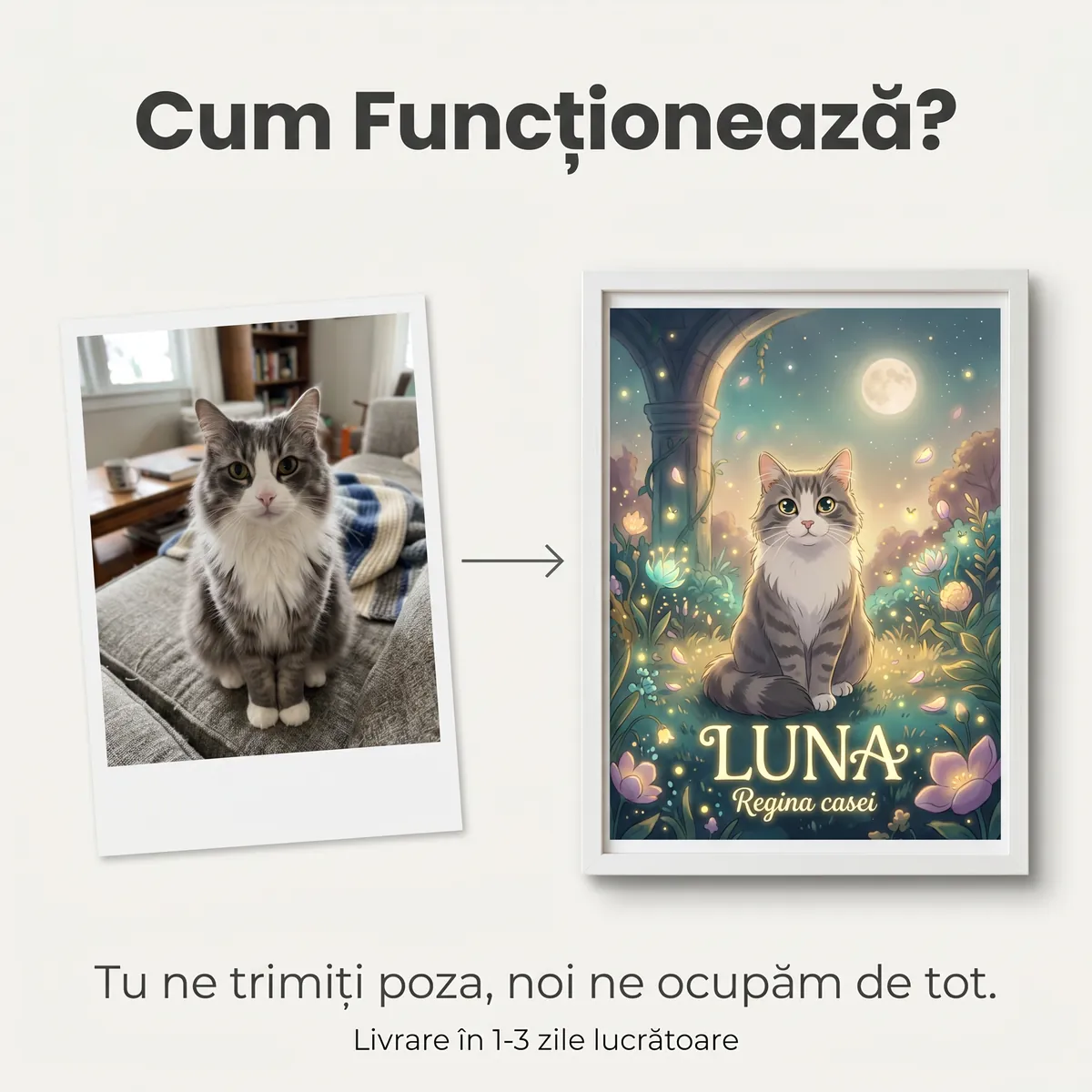 Tablou Personalizat Pisica Magica - cadou pet personalizat [5]