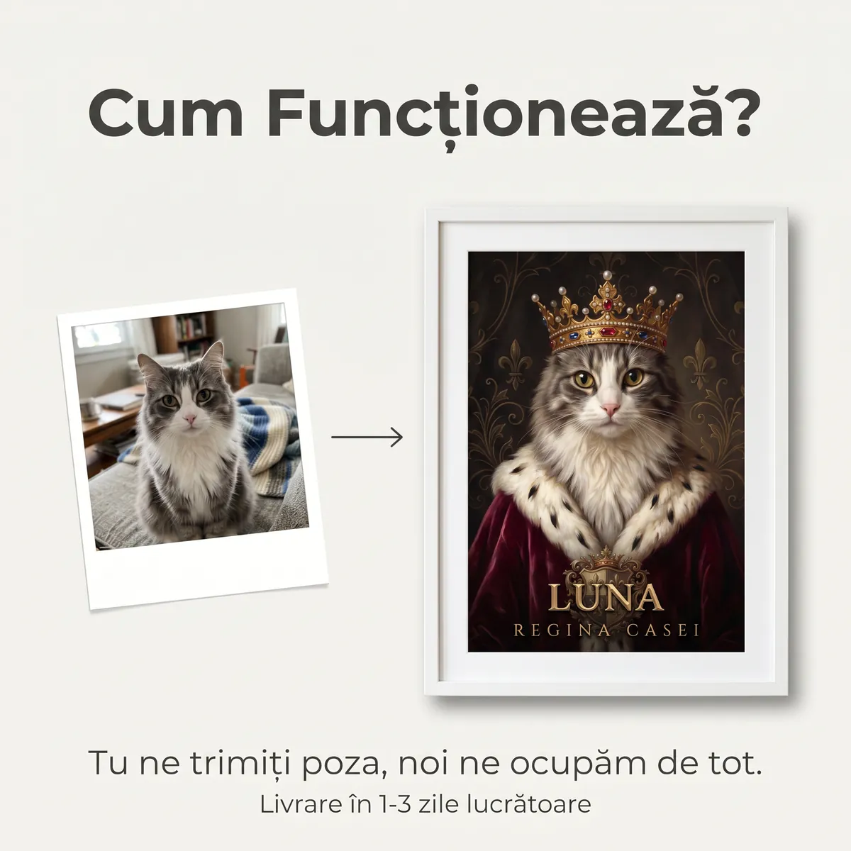 Tablou Personalizat Pisica Regala - cadou pet personalizat [5]