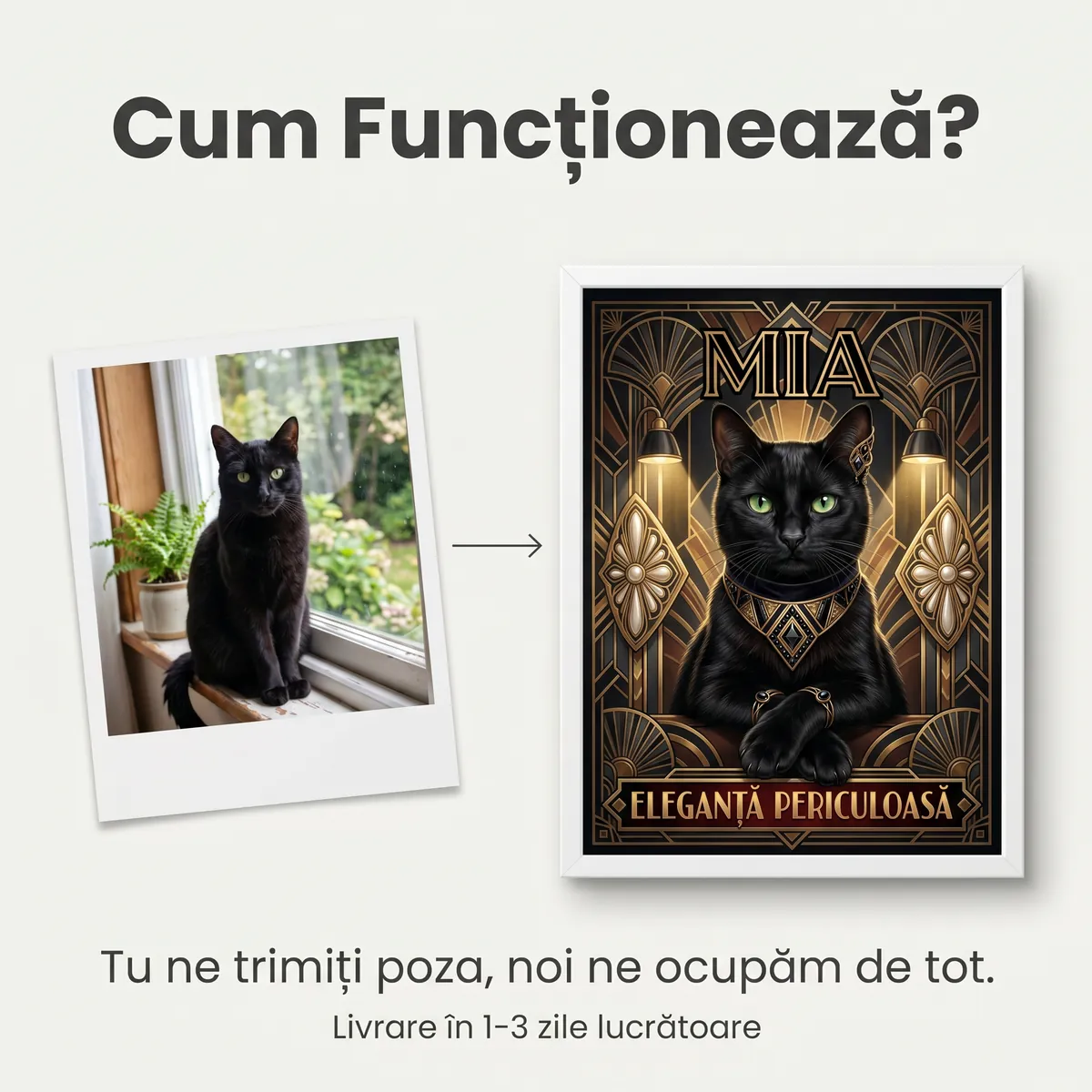 Tablou Personalizat Pisica Villain Deco - cadou pet personalizat [5]