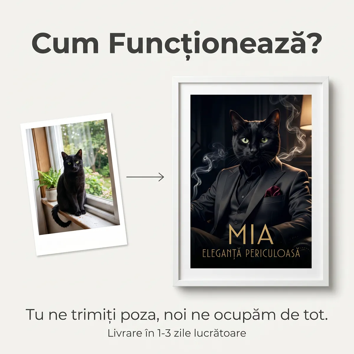 Tablou Personalizat Pisica Villain Noir - cadou pet personalizat [5]