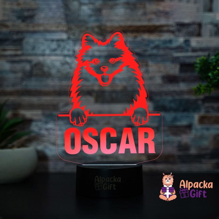 Lampă 3D - Eskimo American [2]