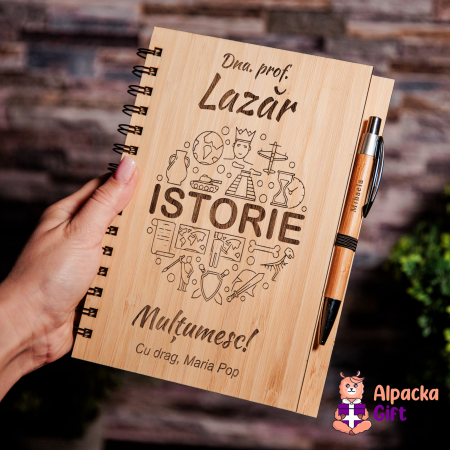 Pentru Profesori - Agendă de Lemn - Istorie