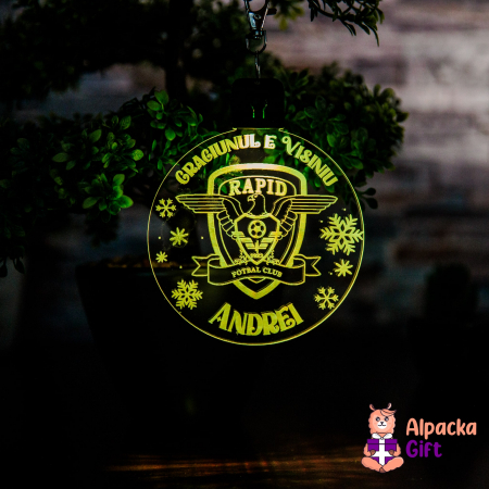 Decoratiune de Craciun LED -  FC Rapid [5]