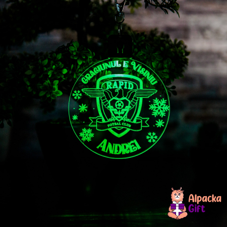 Decoratiune de Craciun LED -  FC Rapid [2]