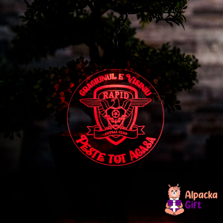 Set 4 Decoratiuni de Craciun LED - FC Rapid [3]