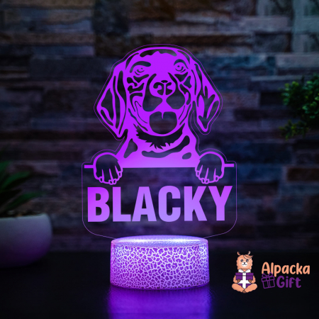 Lampă 3D - Beagle [2]