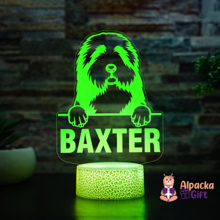 Lampă 3D - Collie cu Barba [1]