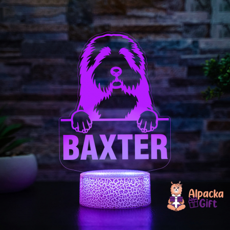 Lampă 3D - Collie cu Barba [2]