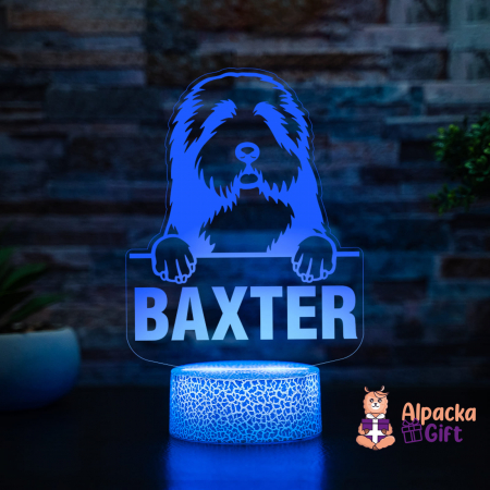Lampă 3D - Collie cu Barba [3]