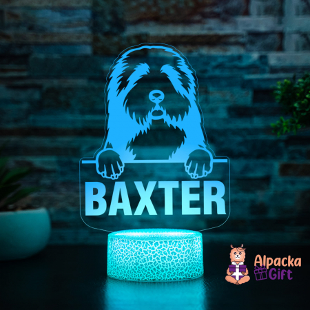 Lampă 3D - Collie cu Barba [4]