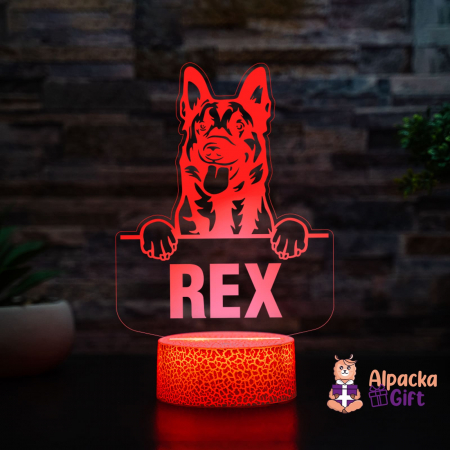 Rase de Caini - User Lampă 3D - Belgian Malinois