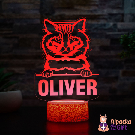 Rase De Pisici - Lampă 3D Bobtail American