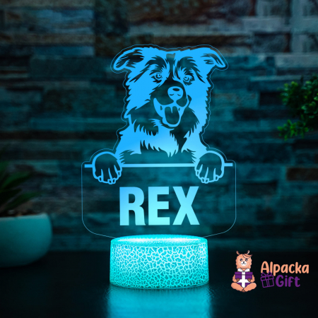 Lampă 3D - Border Collie [4]