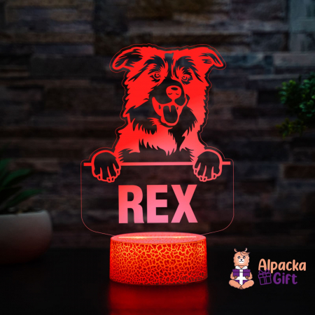 Rase de Caini - Lampă 3D - Border Collie