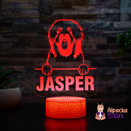 Rase de Caini - Lampă 3D - Briard
