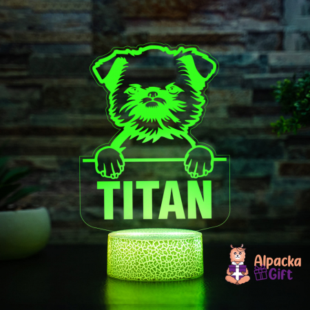 Lampă 3D - Griffon de Bruxelles (Brussels Griffon) [1]
