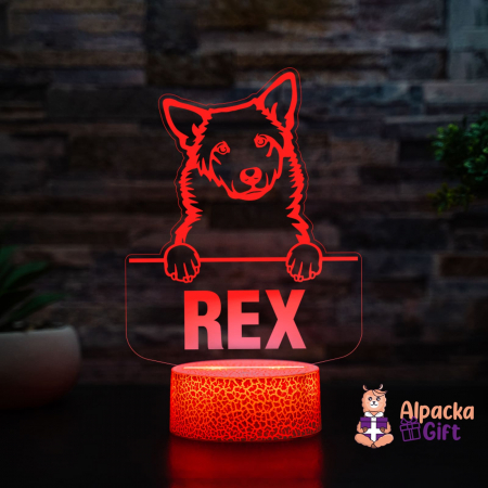 Lampă 3D - Câinele Canaan (Canaan Dog) [1]