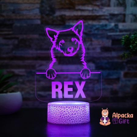 Lampă 3D - Câinele Canaan (Canaan Dog) [2]