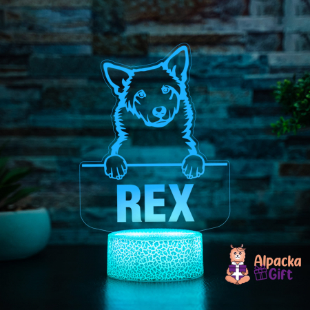 Lampă 3D - Câinele Canaan (Canaan Dog) [4]