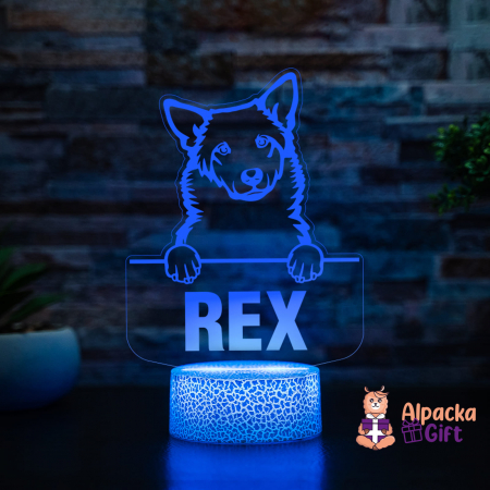 Rase de Caini - Lampă 3D - Câinele Canaan (Canaan Dog)