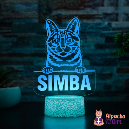 Lampi 3D Animale - Lampă 3D - Dragon Li