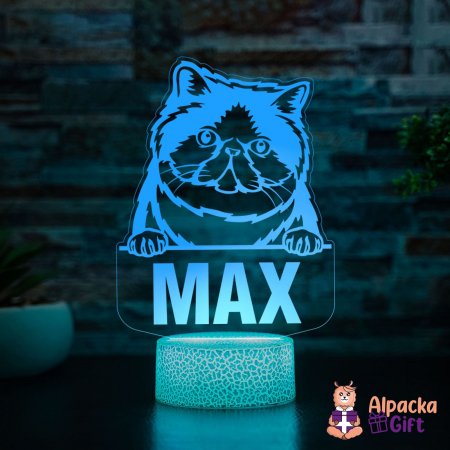 Lampi 3D Animale - Lampă 3D - Exotic Shorthair