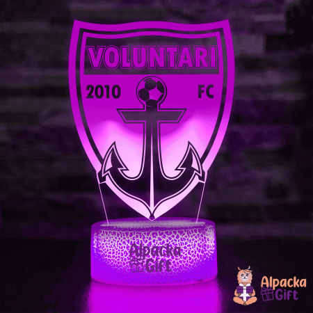 Lampă 3D Voluntari [2]