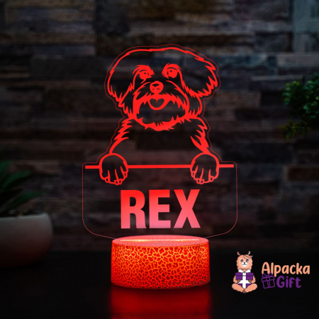 Rase de Caini - Lampă 3D - Maltese