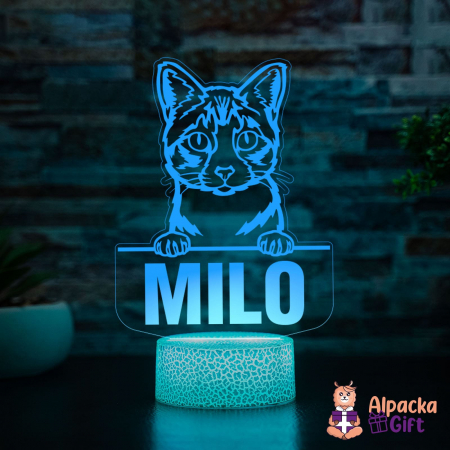 Rase De Pisici - Lampă 3D - Ojos Azules