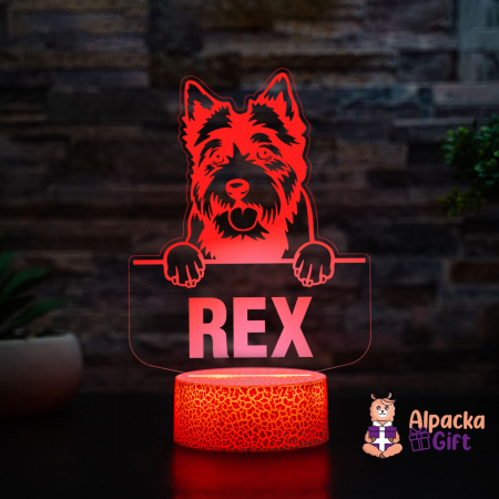 Lampă 3D - Norwich Terrier [1]