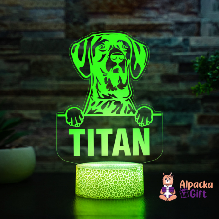 Lampă 3D - Pointer German Shorthaired [3]