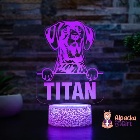 Lampă 3D - Pointer German Shorthaired [2]