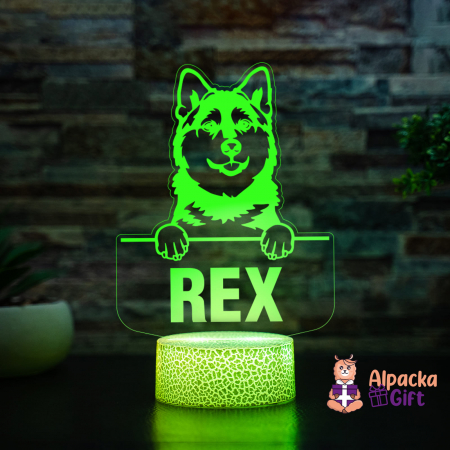 Lampă 3D Pomsky [4]
