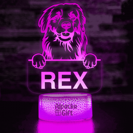 Lampă 3D - Retriever Golden [3]