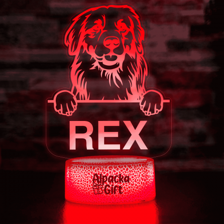 Rase de Caini - Lampă 3D - Retriever Golden