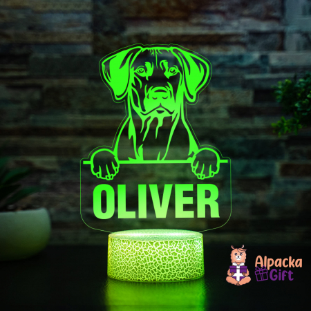 Rase de Caini - Lampă 3D - Retriever (Nova Scotia Duck Tolling)